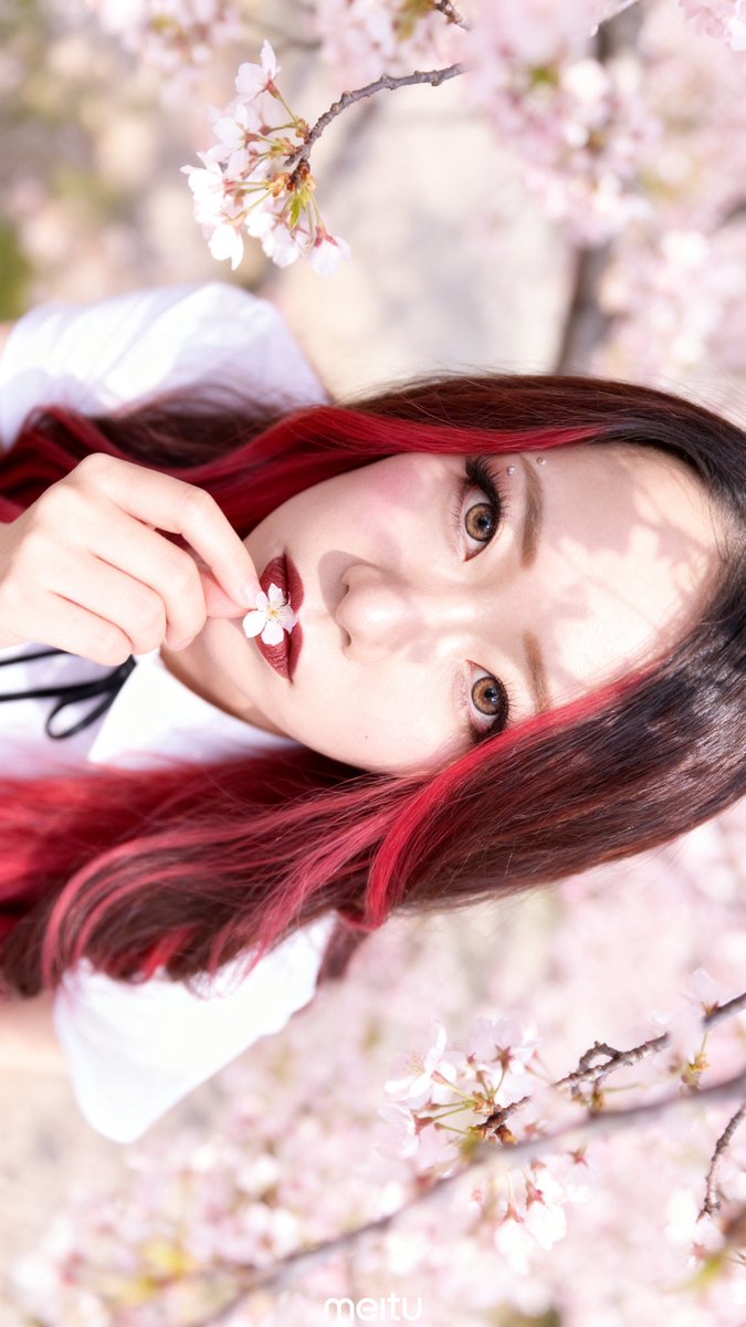 すにゃ様 はにゃ様🌹 (@hanyan69) / Posts / X