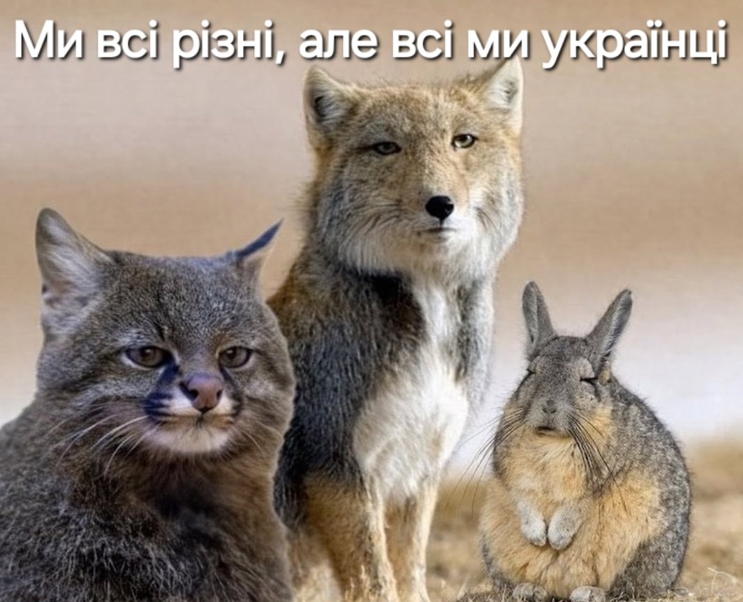 Пані компот з румбамбару tweet media