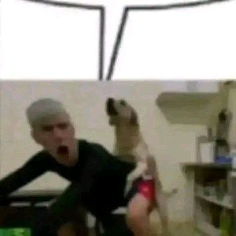 NeonTiger tweet media