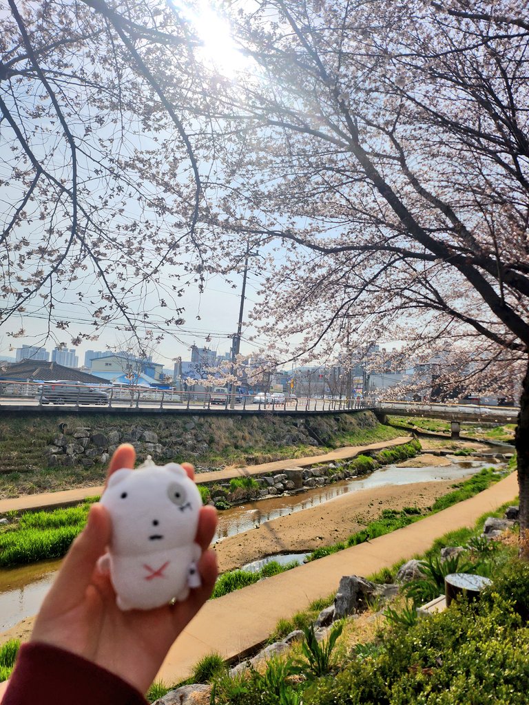 바게솔 tweet media