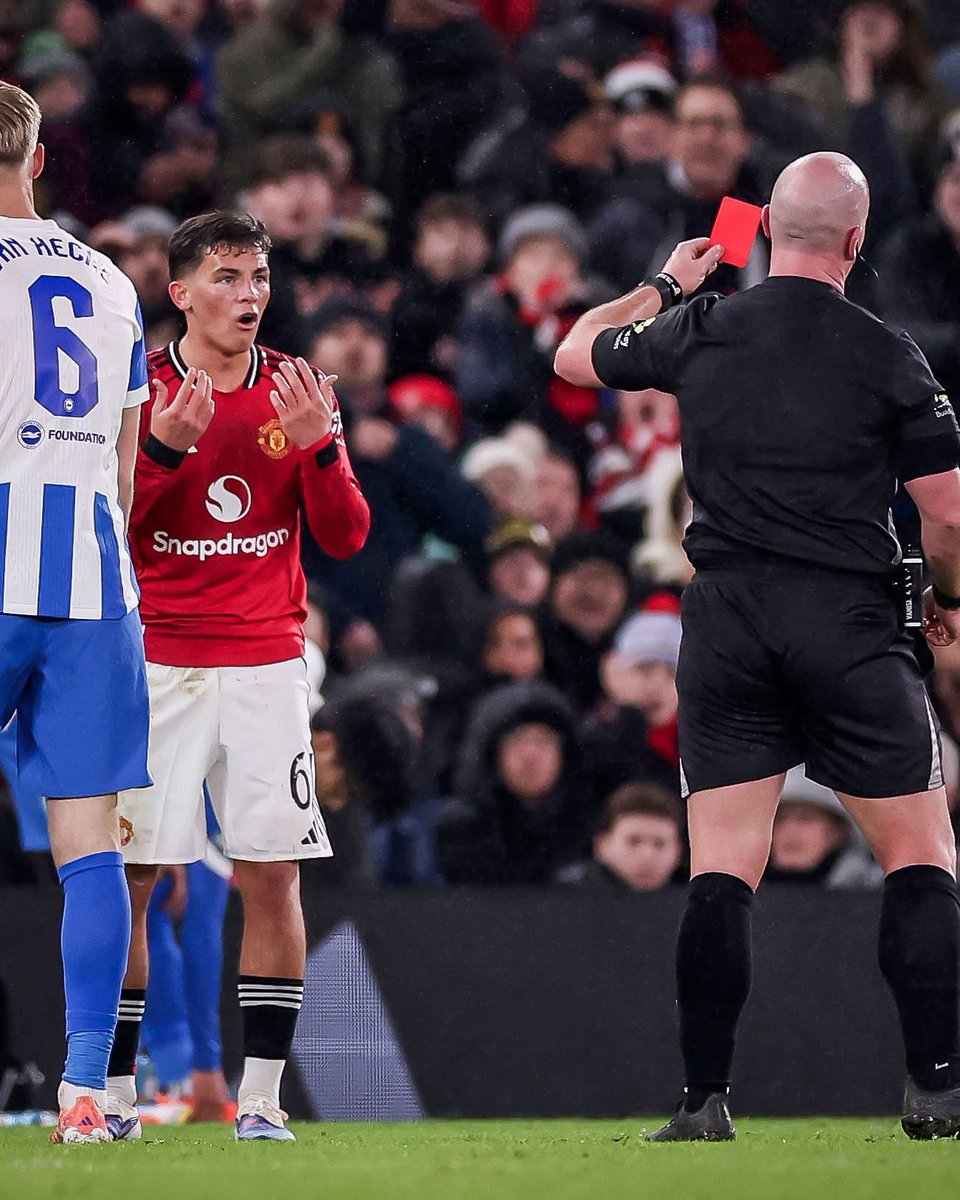 (fan) Frank 🧠🇾🇪 tweet media