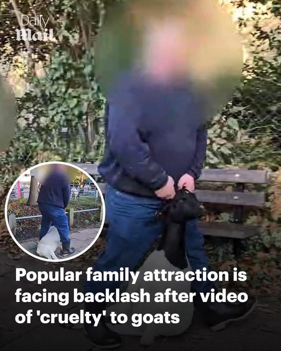 dominic dyer tweet media