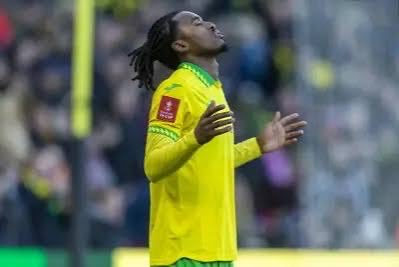 Daniel Emery tweet media