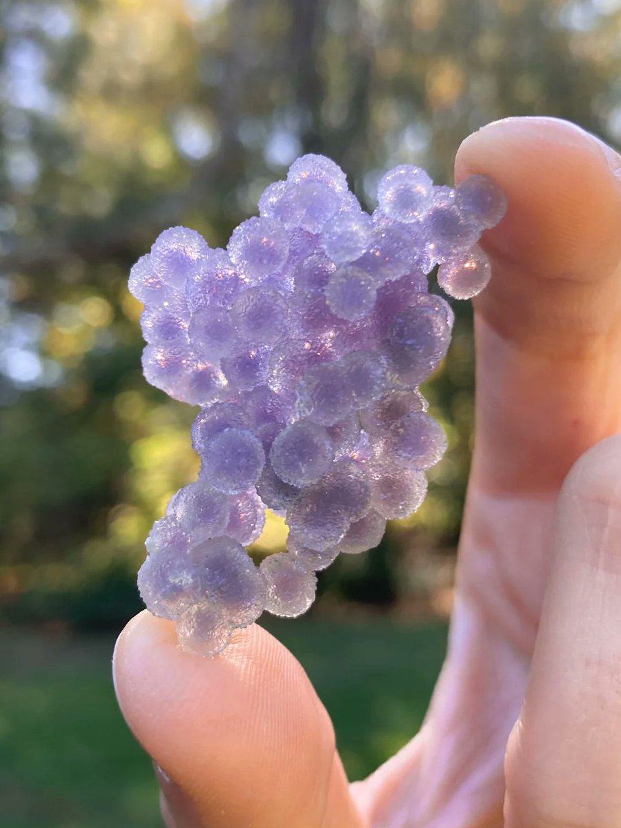 セツナノマタタキ🟣 tweet media