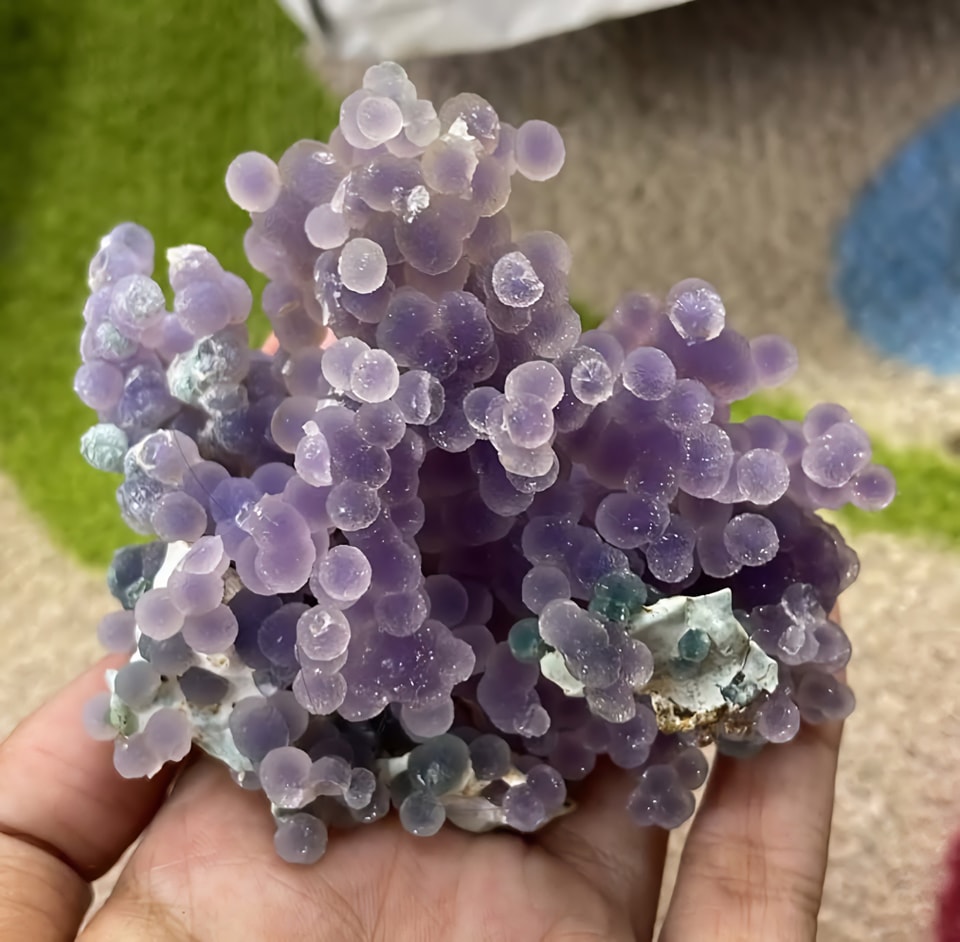 セツナノマタタキ🟣 tweet media