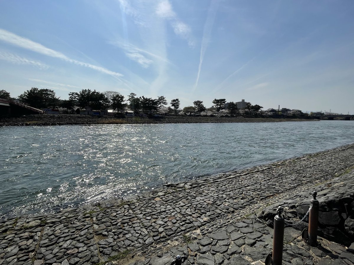 泉南佳那 tweet media