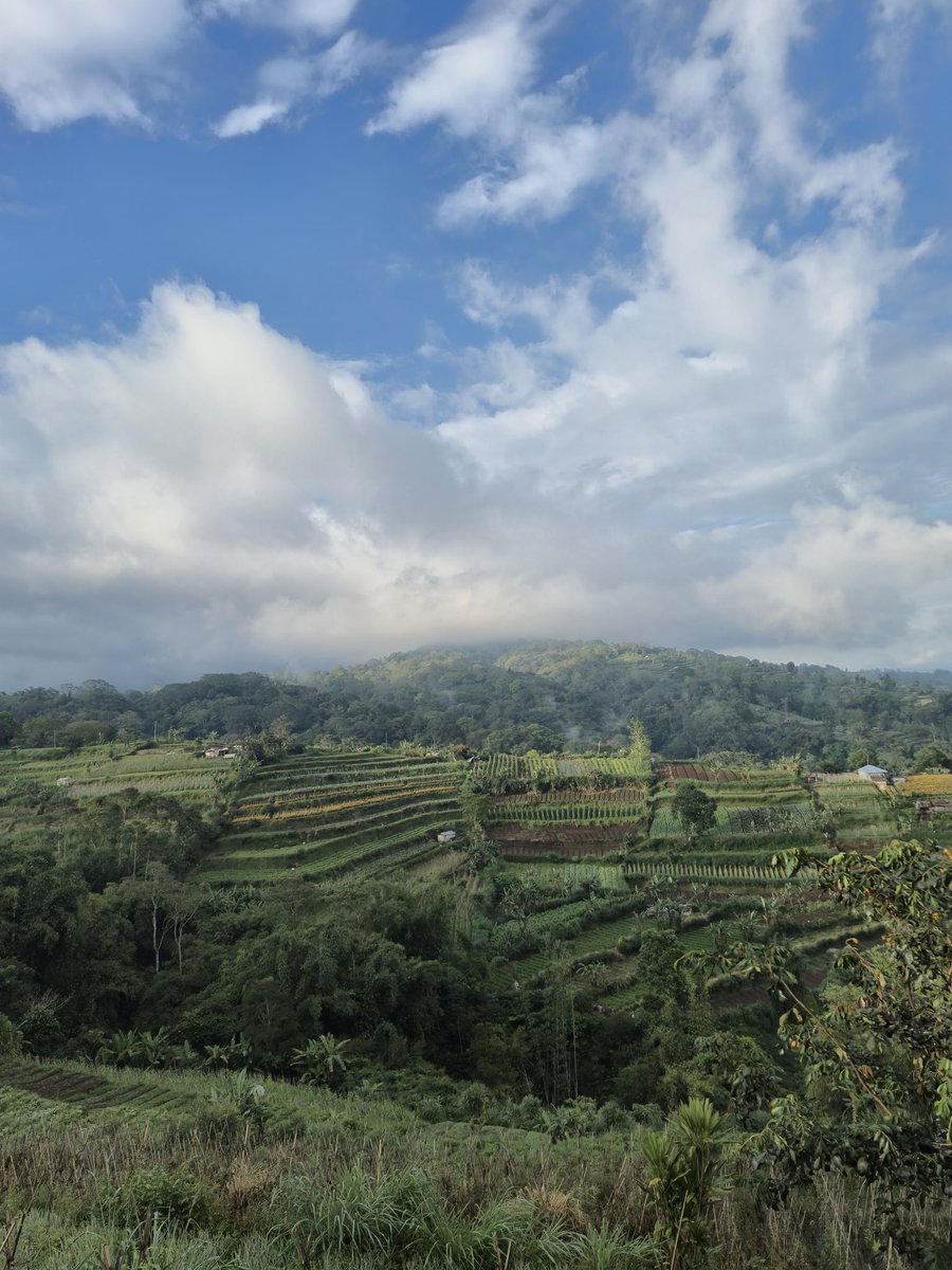 gulkartaall's tweet photo. Landscape 🌿 https://t.co/Ajjkrfv9Z4