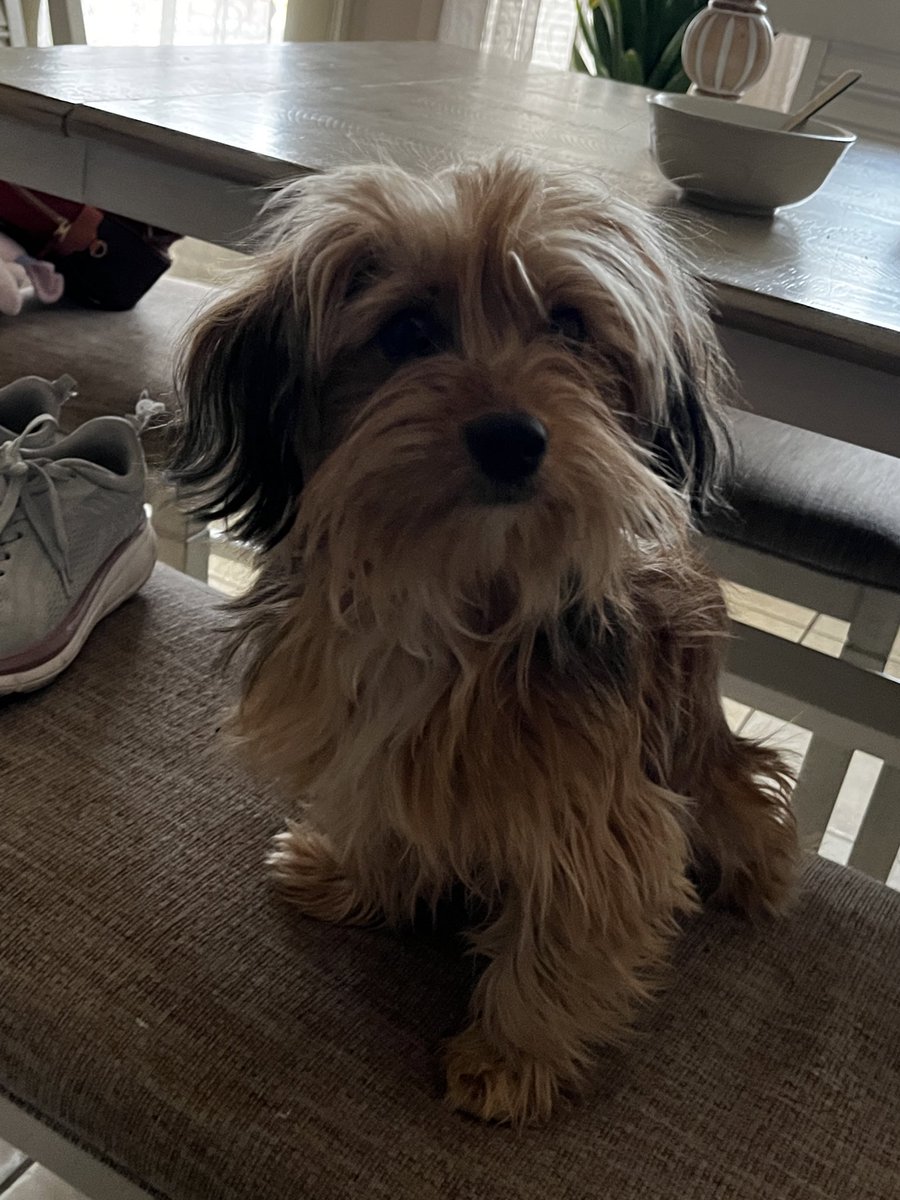 Dee |-/🌻 tweet media