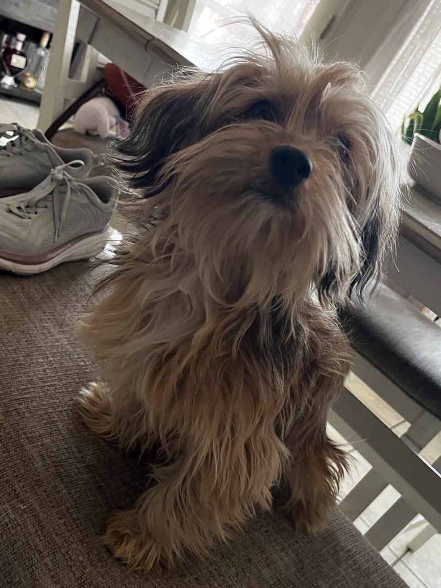 Dee |-/🌻 tweet media