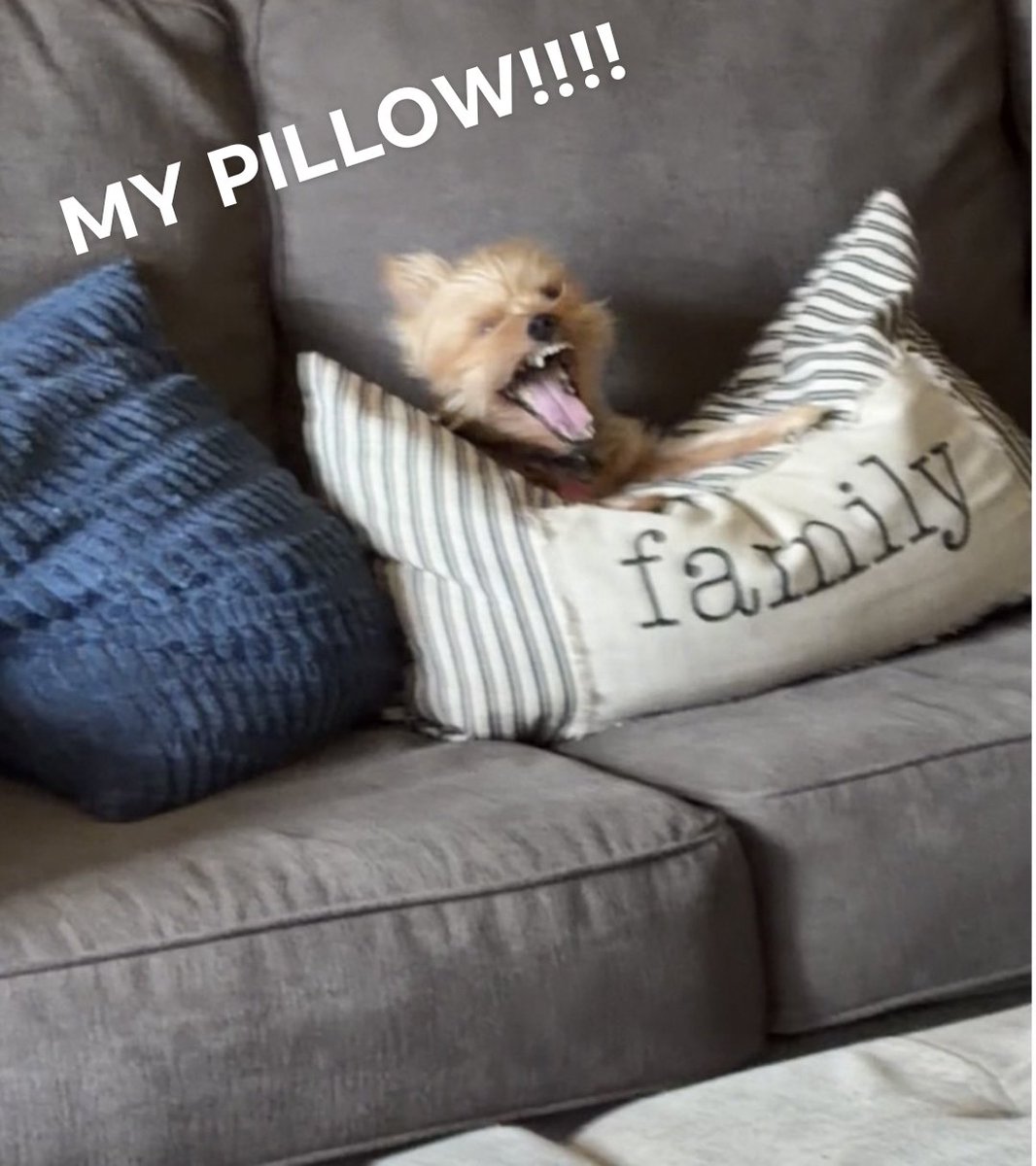 ~nishisaaku~ tweet media