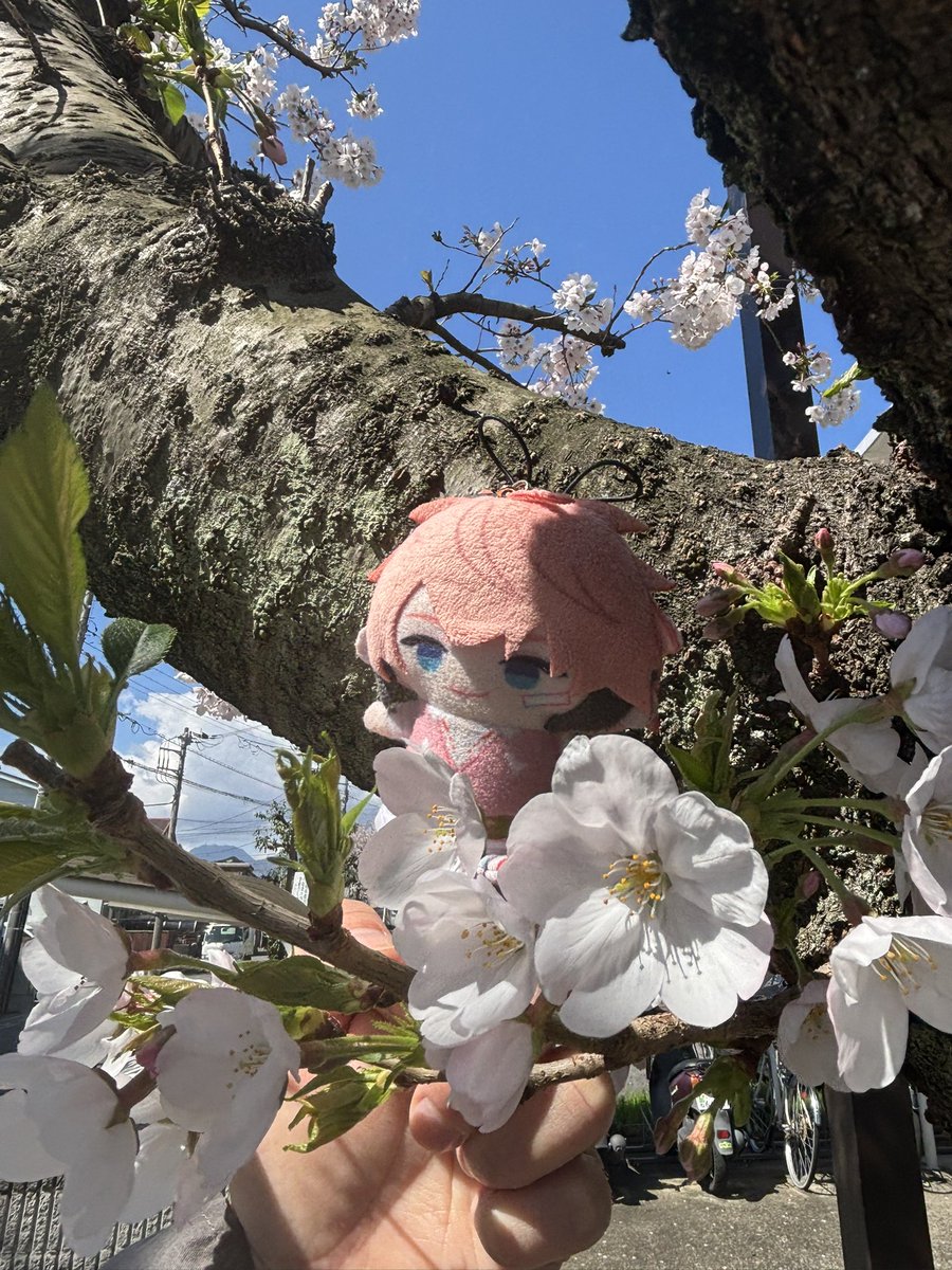 おとのみ tweet media