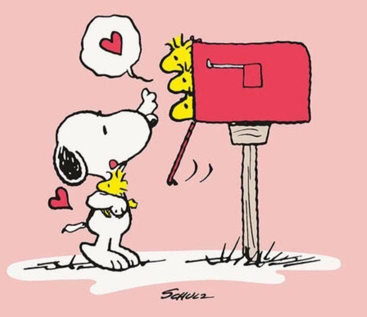 すぬちゃん tweet media