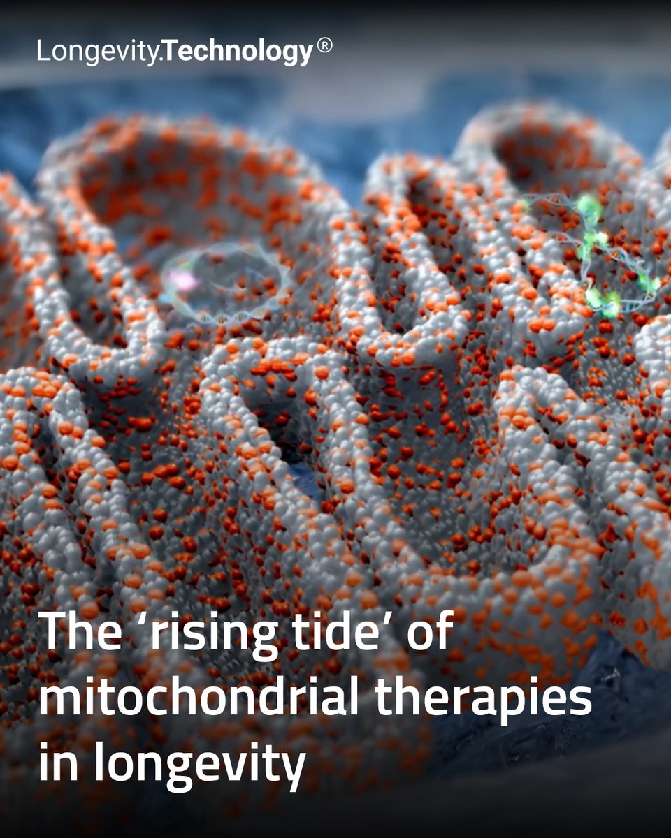 LongevityTech's tweet photo. @StealthBT CSO says bioenergetic dysfunction lies at the center of the aging process.

https://t.co/eXnM0Rvz7y

#longevity #mitochondria #biotech #healthspan #aging https://t.co/w2EwODlZIG