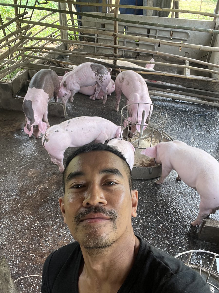 Chakkarin (Big-M) tweet media