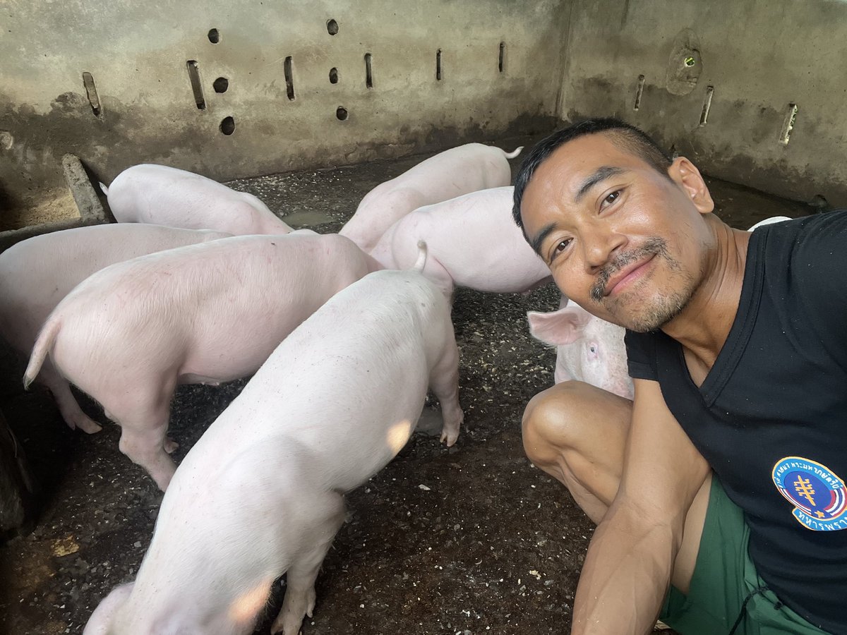 Chakkarin (Big-M) tweet media