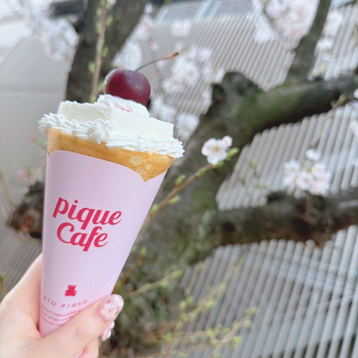 なぃとめあ ちゃんのさぶあか tweet media