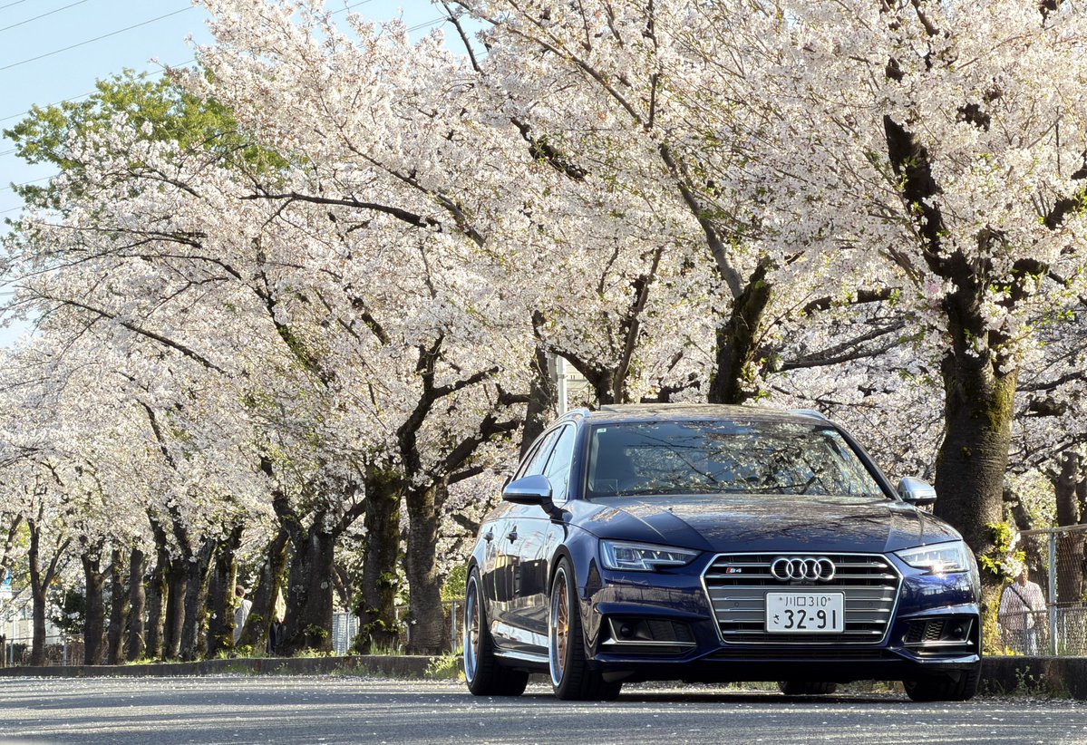 おーいし tweet media