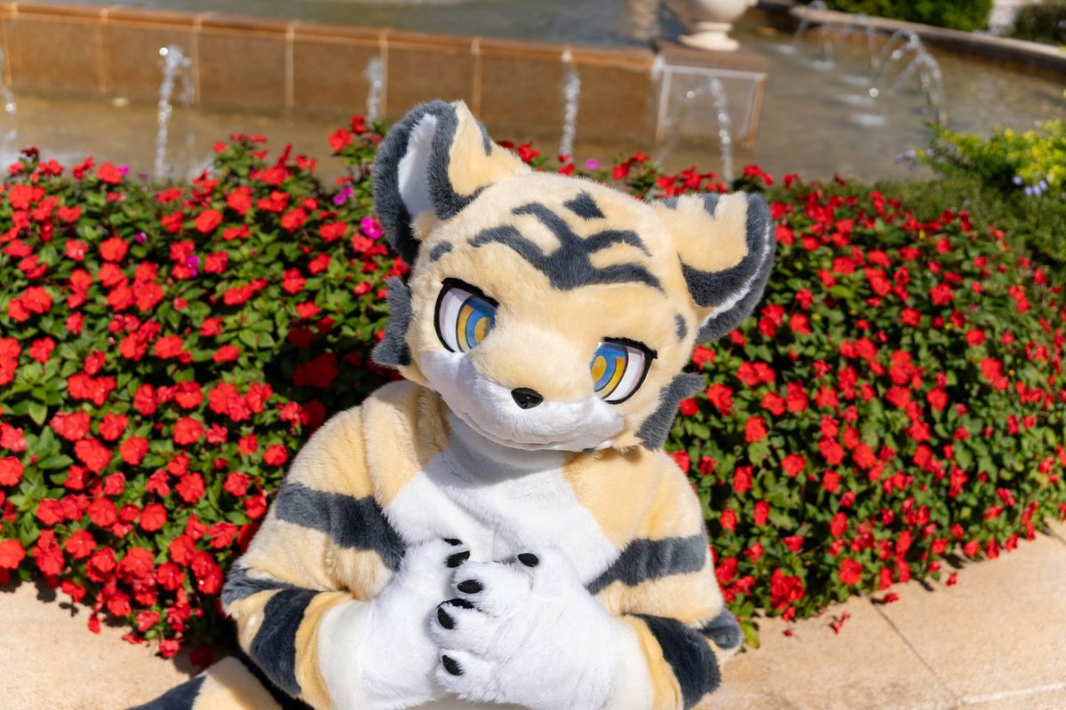 ぼだ🐾 tweet media