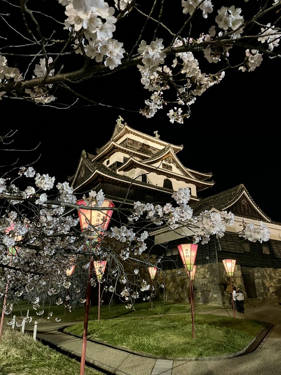 ぢげもん tweet media