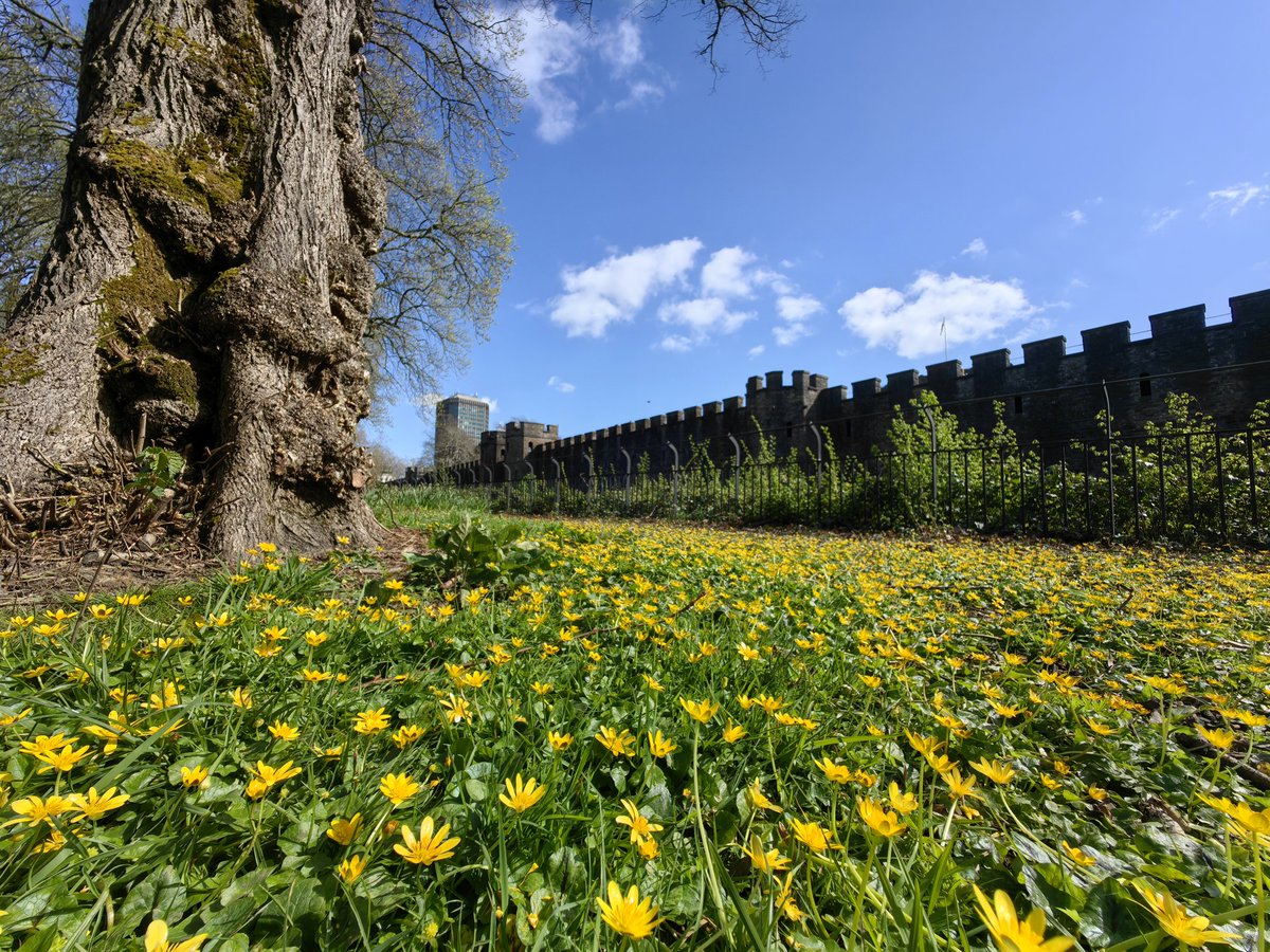 It's Your Wales tweet media