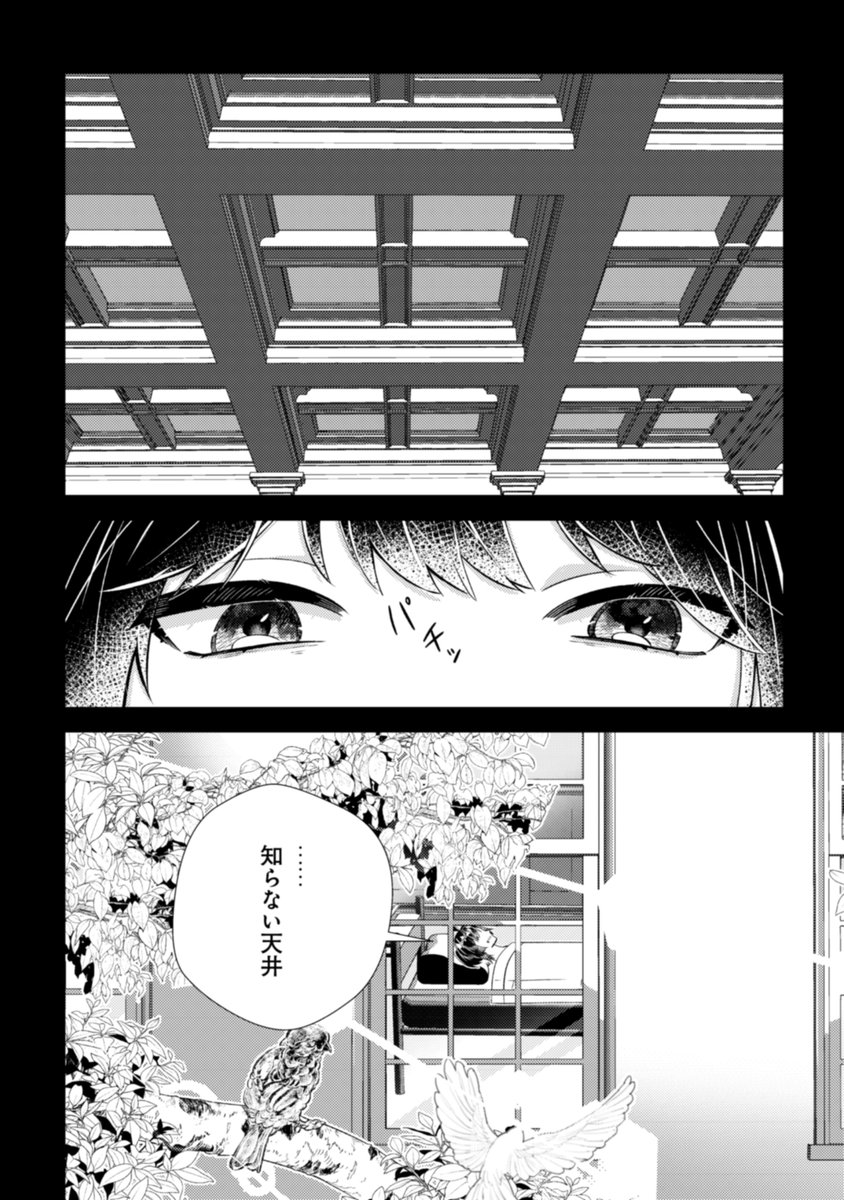 コミックノヴァ公式 tweet media