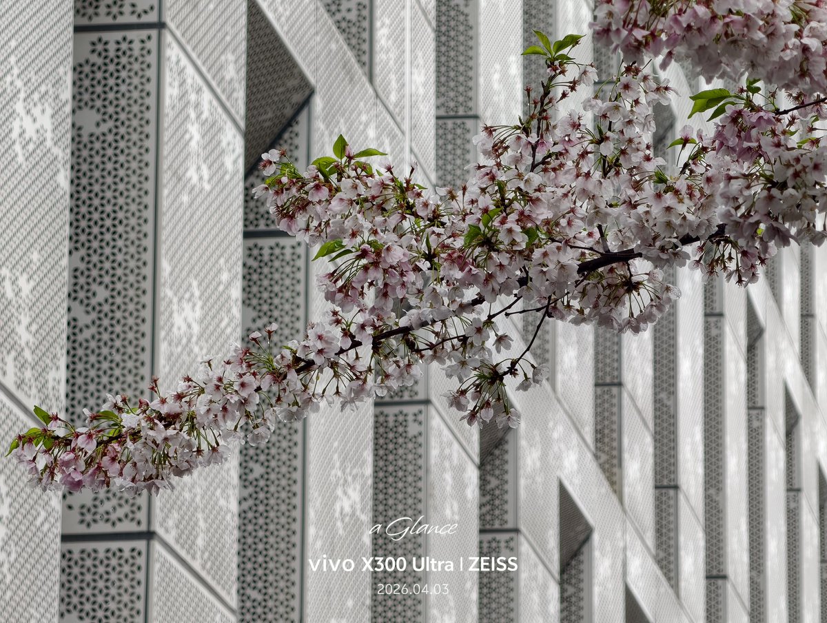 a Glance tweet media