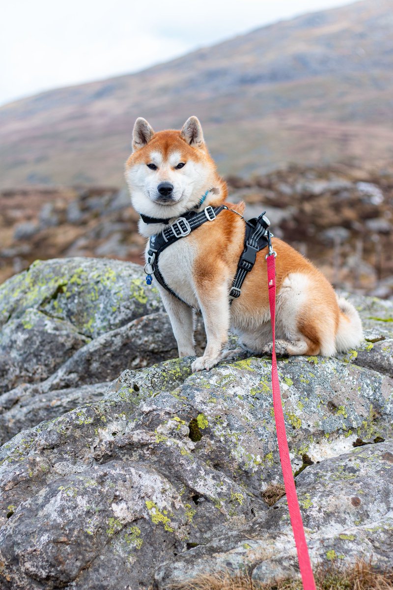 Martyn 🏴󠁧󠁢󠁷󠁬󠁳󠁿 tweet media