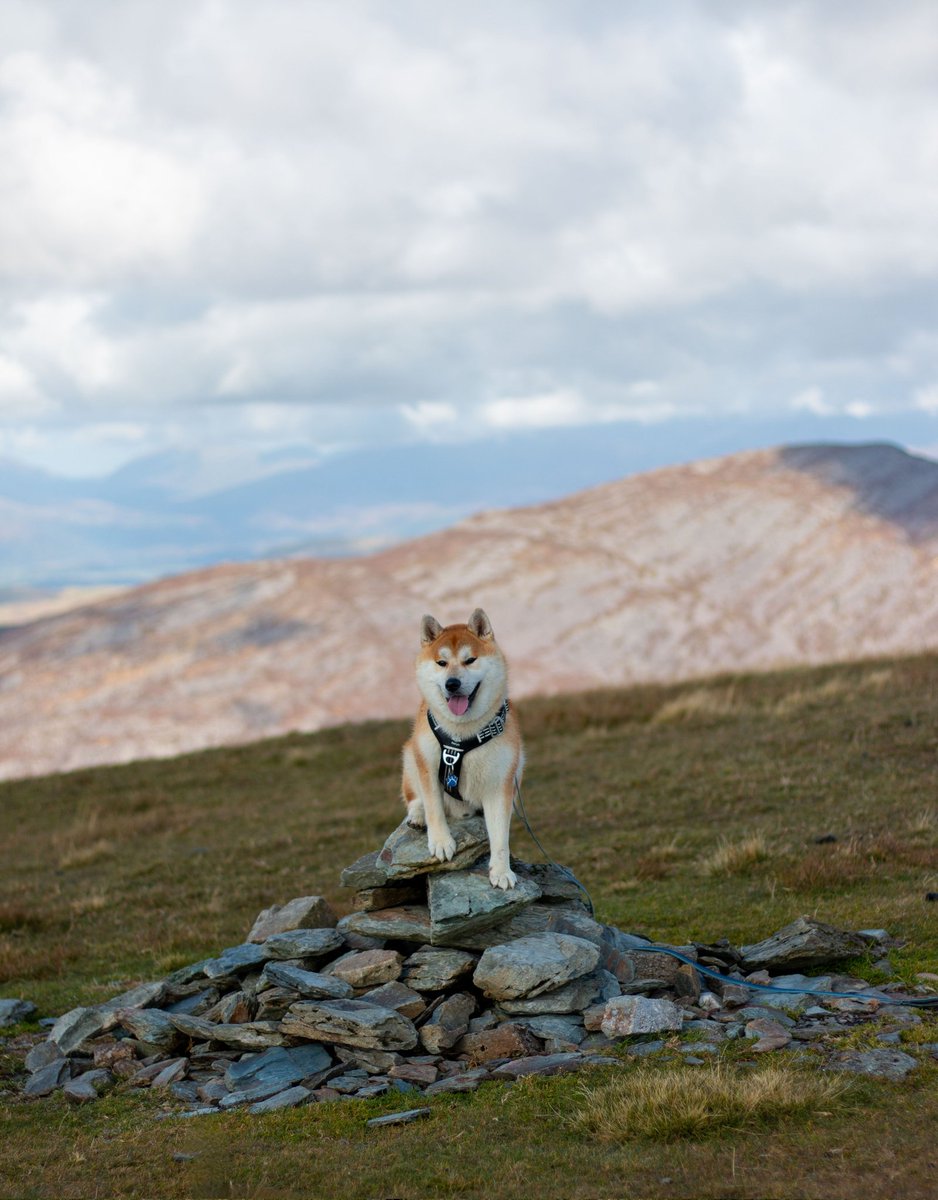 Martyn 🏴󠁧󠁢󠁷󠁬󠁳󠁿 tweet media