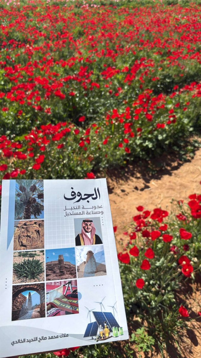 ملاك الخالدي tweet media