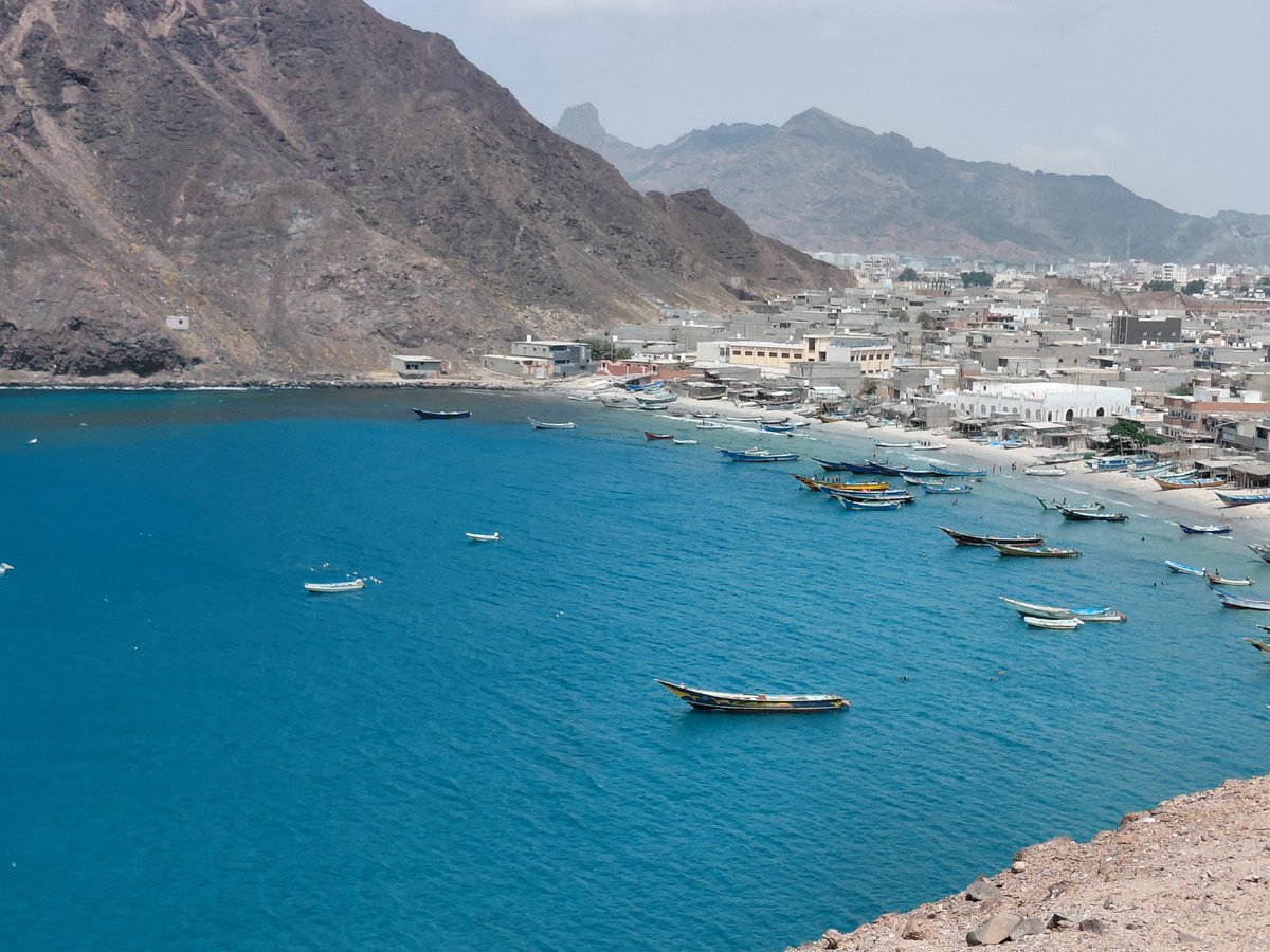 Lutfi Shatara tweet media