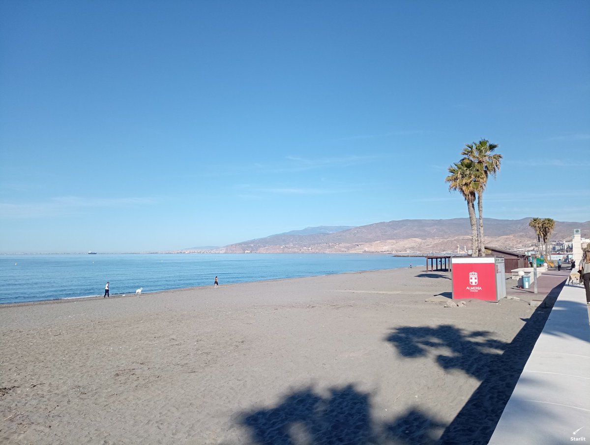 Proyecto Starlit tweet media