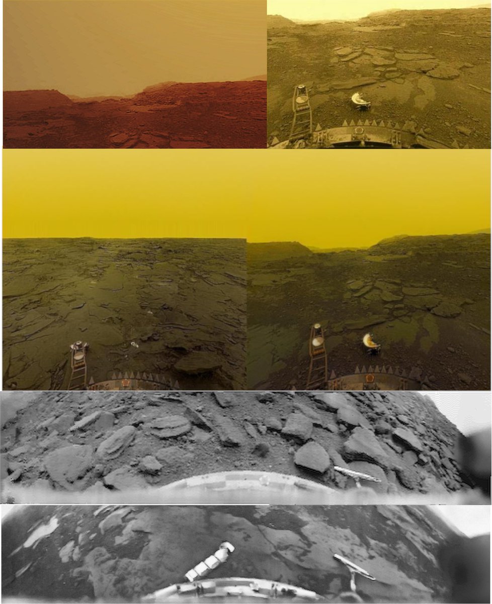 Battlement 🇱🇰 tweet media