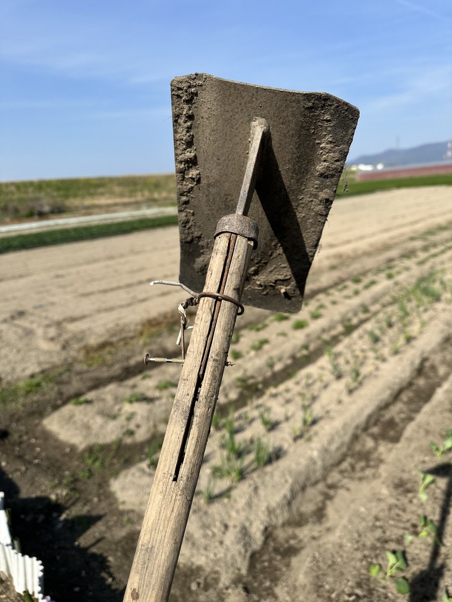 ふむなし tweet media