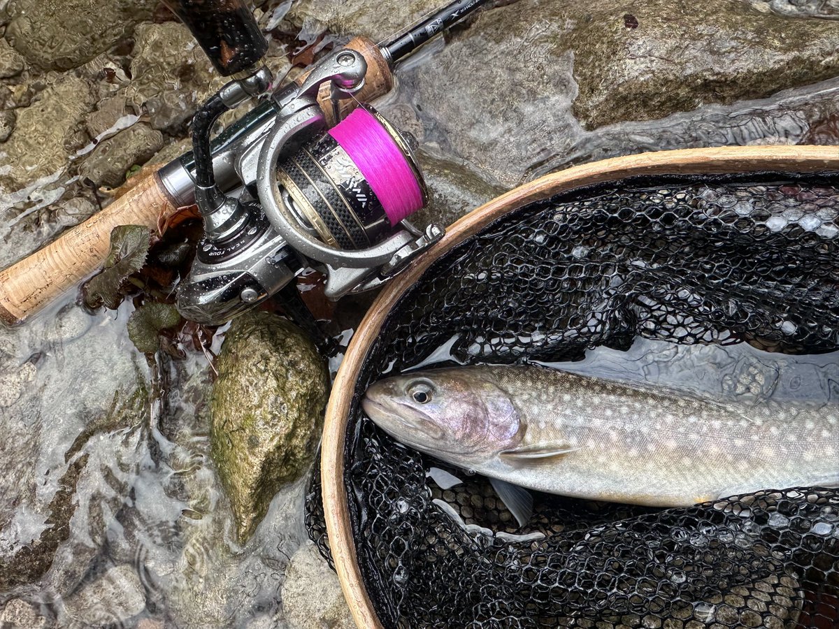 飯島一貴 tweet media