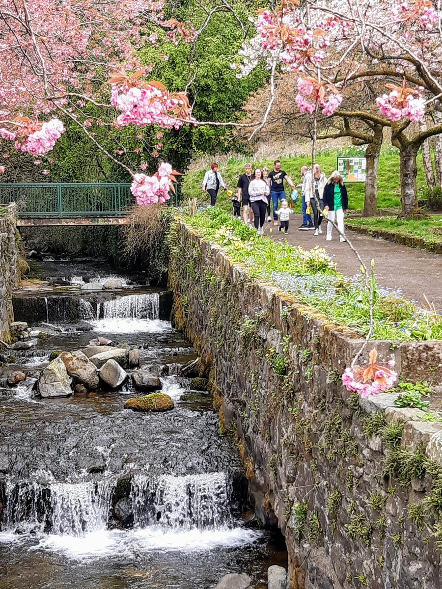 W Brian * tweet media