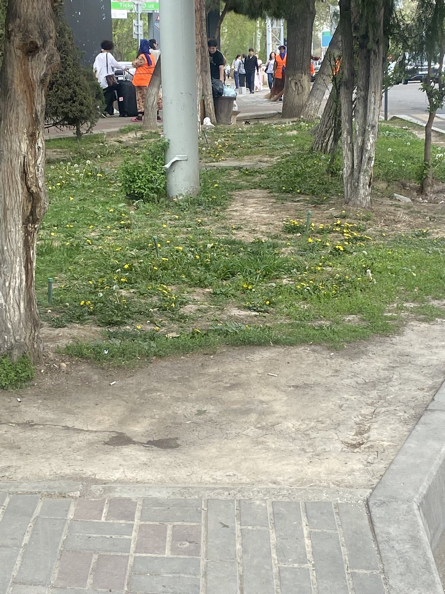 ChimYonLi🇵🇸 tweet media