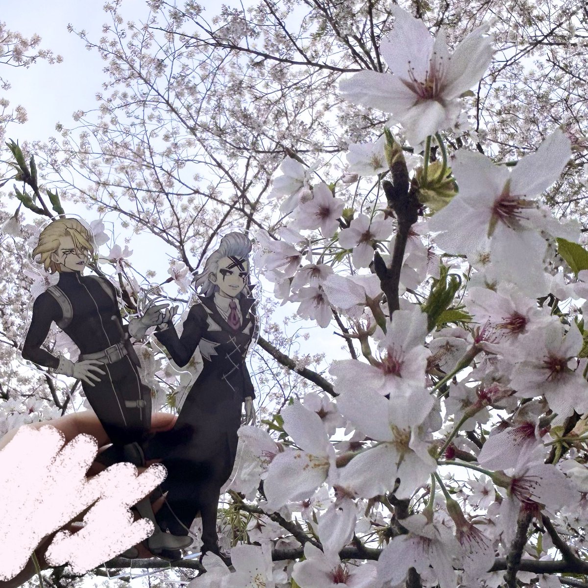 むじゅ tweet media