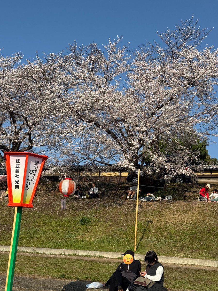 tomu_tomu17's tweet image. 早くに帰れたから仕事道具を買いに行ってちょっとだけお花見に
いい感じに咲いてた🌸
多分見れるのは今日までかな〜
明日の雨で全部散っちゃうだろうな〜
 #utage
 #羽賀うるな
 #うちゃんと一緒