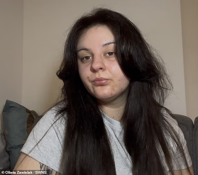 Falcarius tweet media