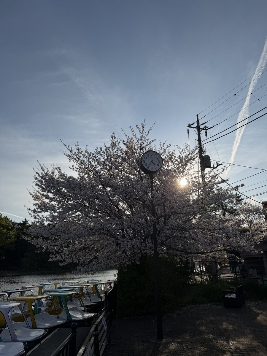 まなぶ☺︎☺︎☺︎🦢🧡🍊🟠 tweet media