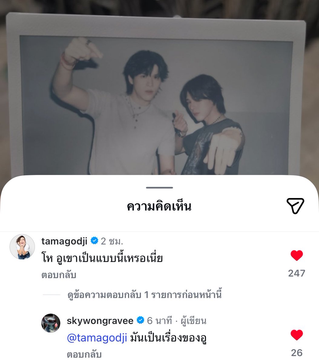 littleani tweet media