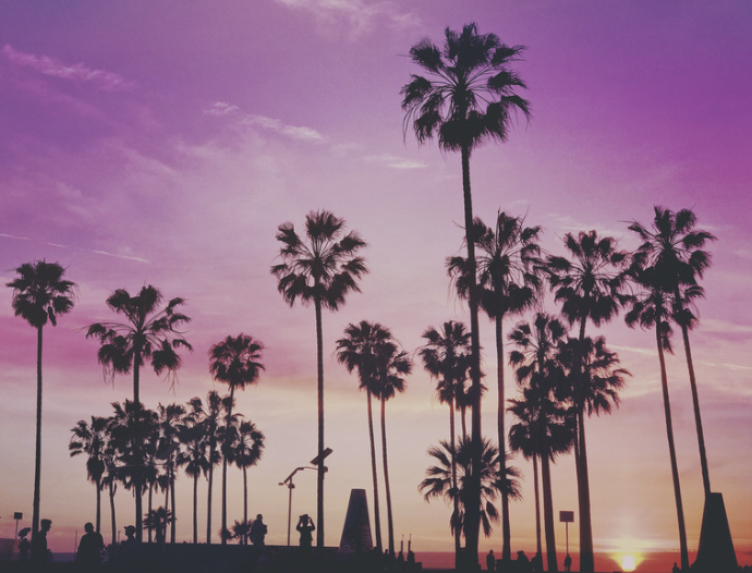 ココバス@FF14 tweet media