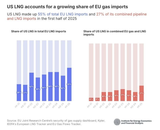 Jack Prandelli tweet media