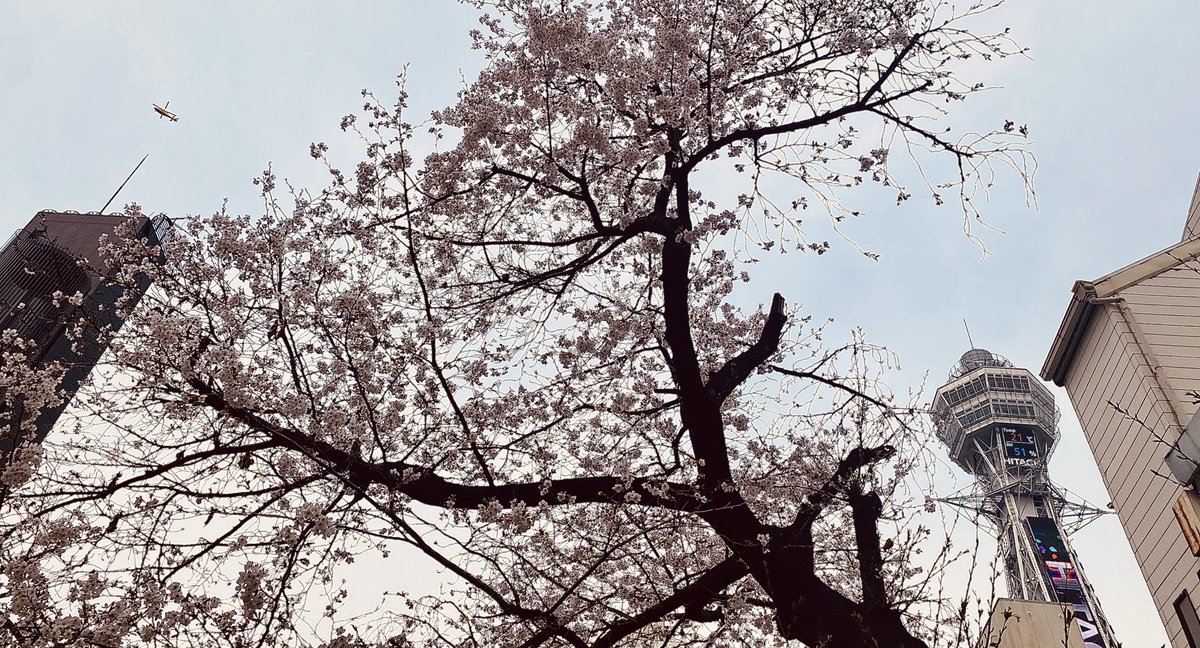 ポイコ tweet media