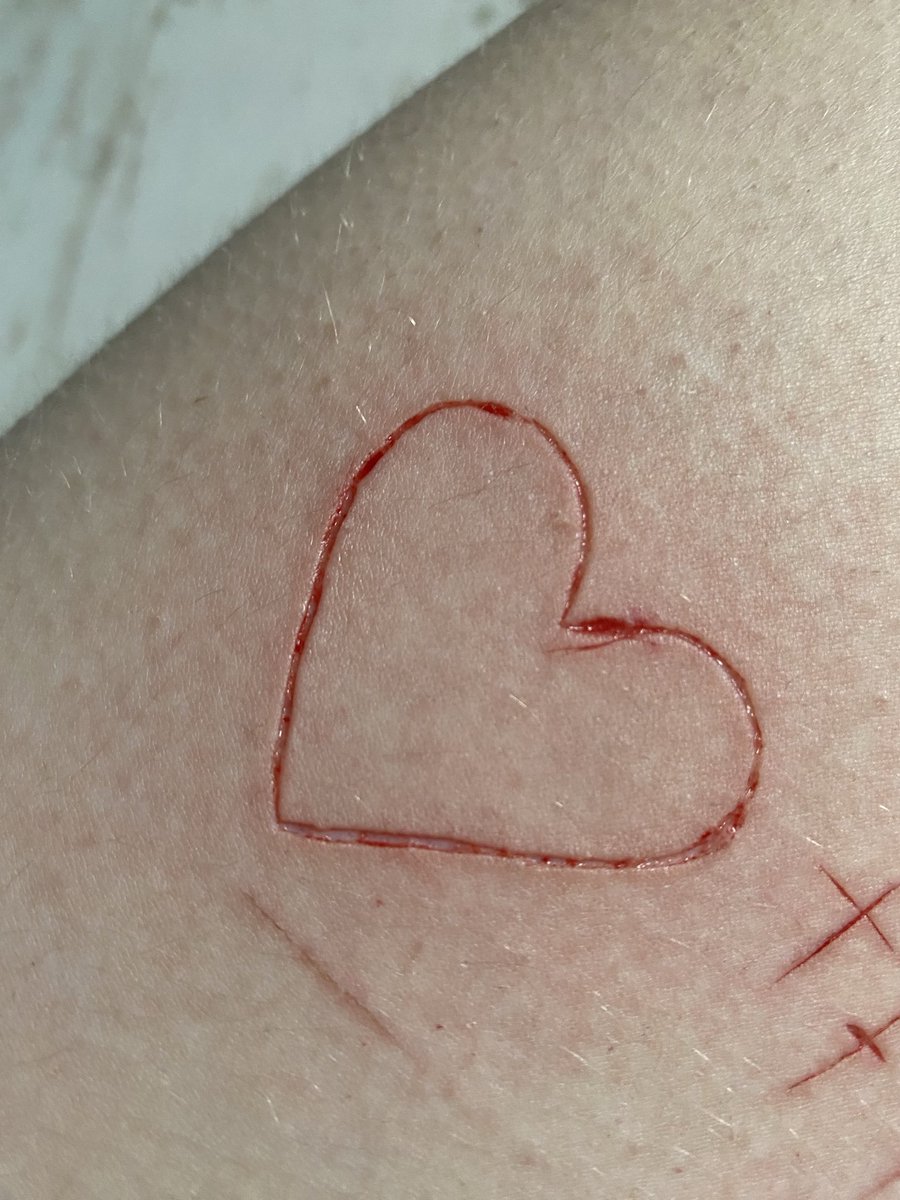 ᧔•᧓ tweet media