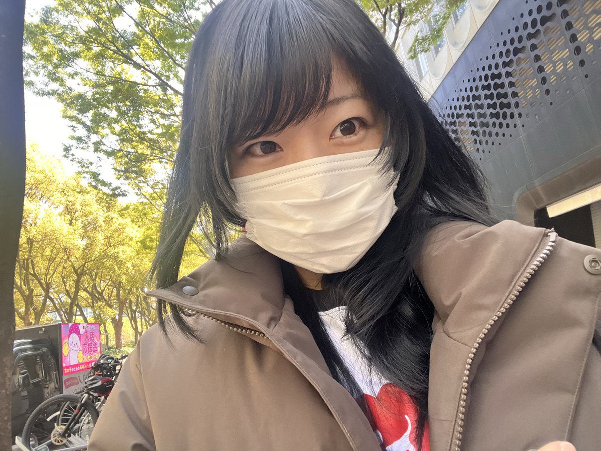 ぴよたんの💫 tweet media