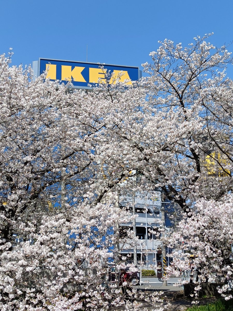 堀田 正典 tweet media