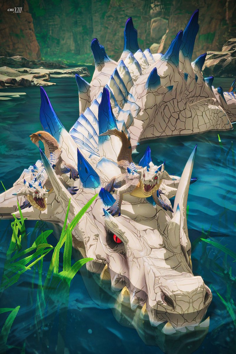 Ciel XIII 📸 tweet media