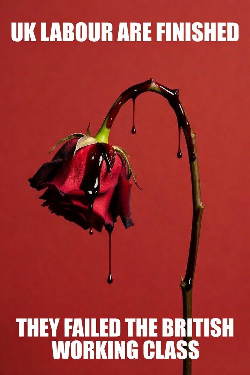 Ian 🇬🇧 tweet media