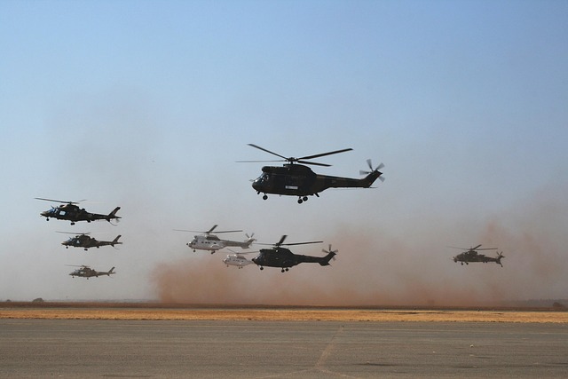 Luis Hall tweet media